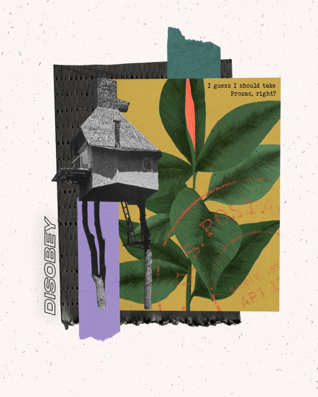 Collage by Antonieta