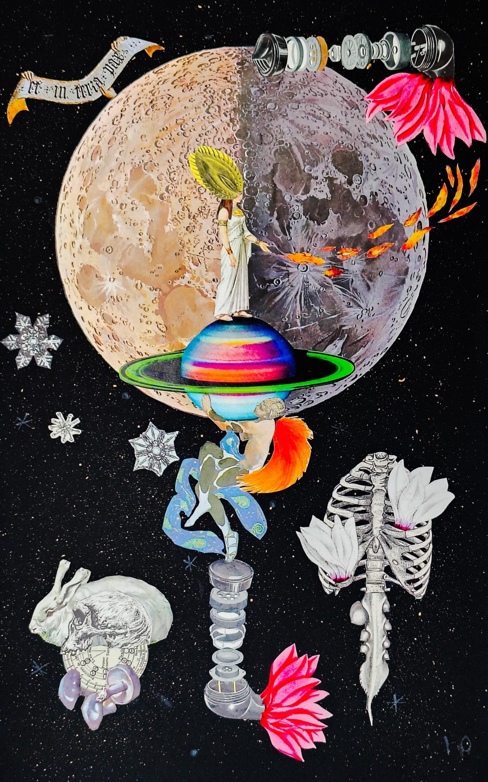 Collage by Victoria Rodríguez