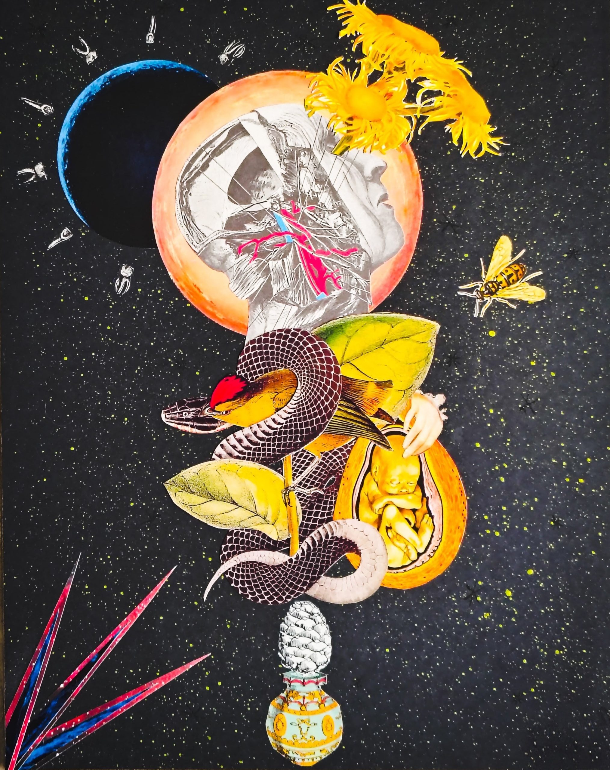 Collage by Victoria Rodríguez
