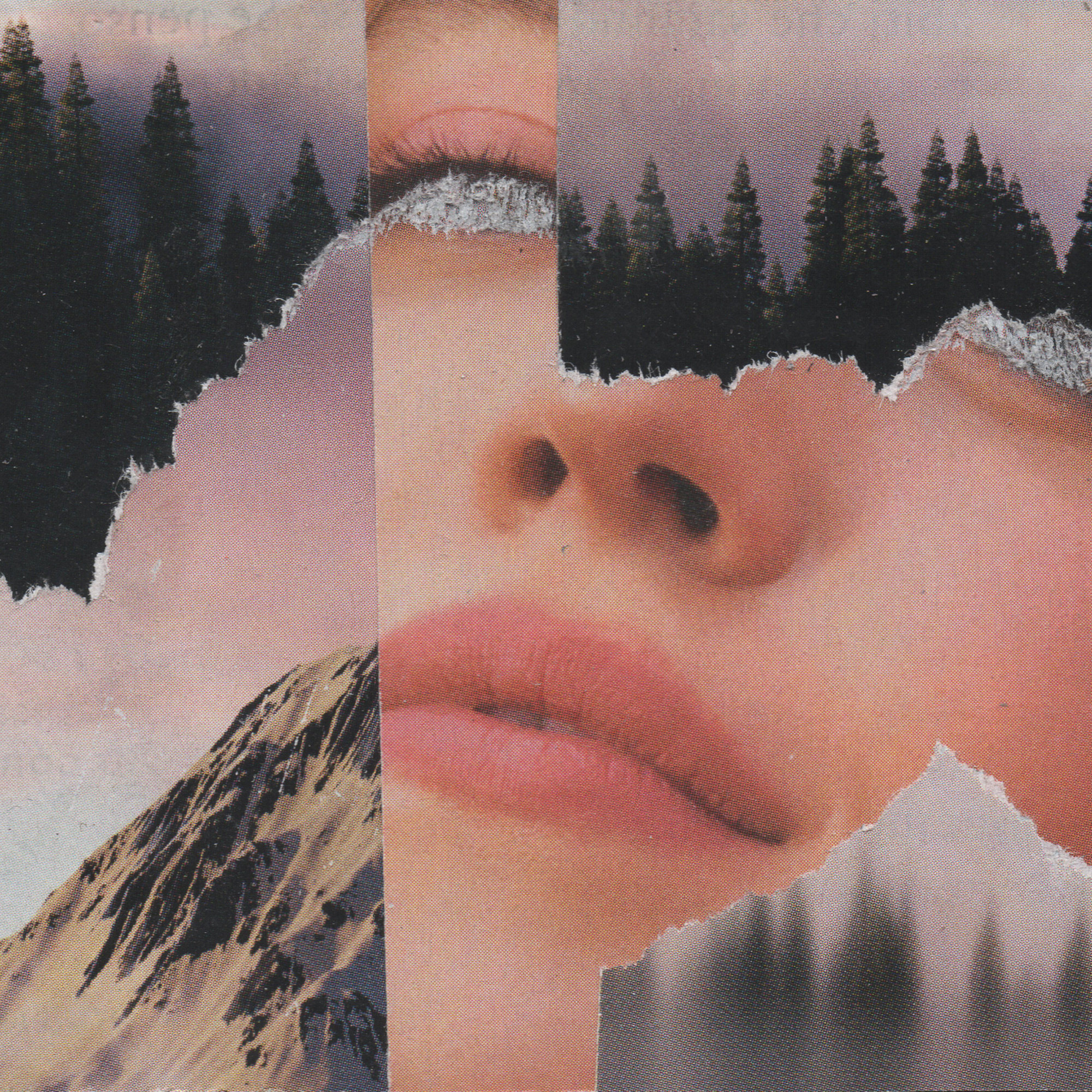 Collage by miirror