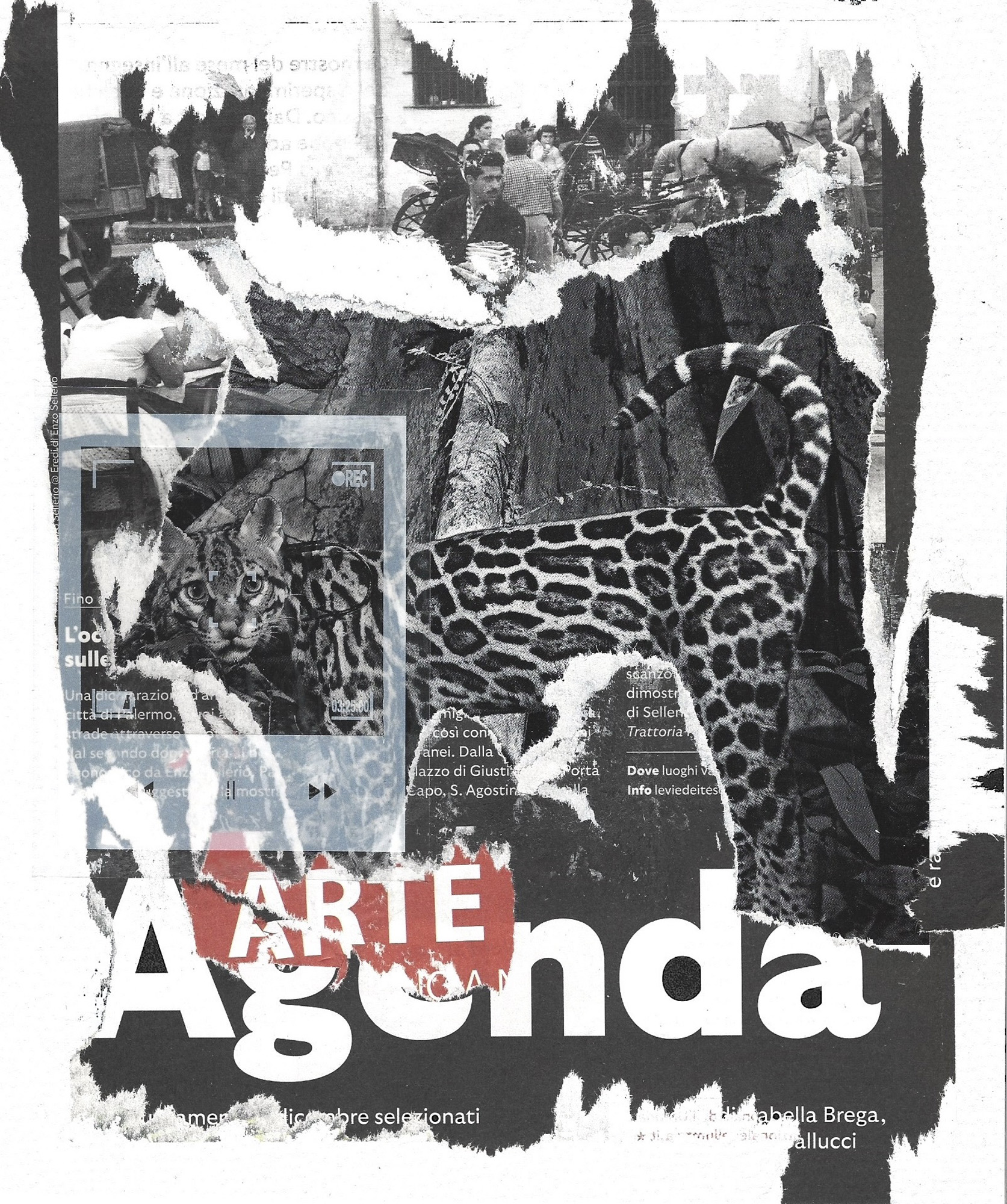 Collage by Beatrice Calastrini