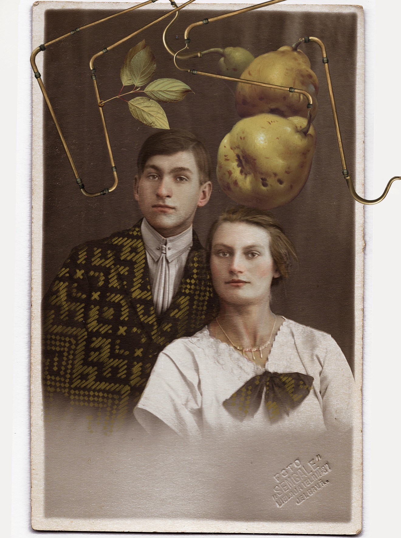 Collage by Anna Krauklis