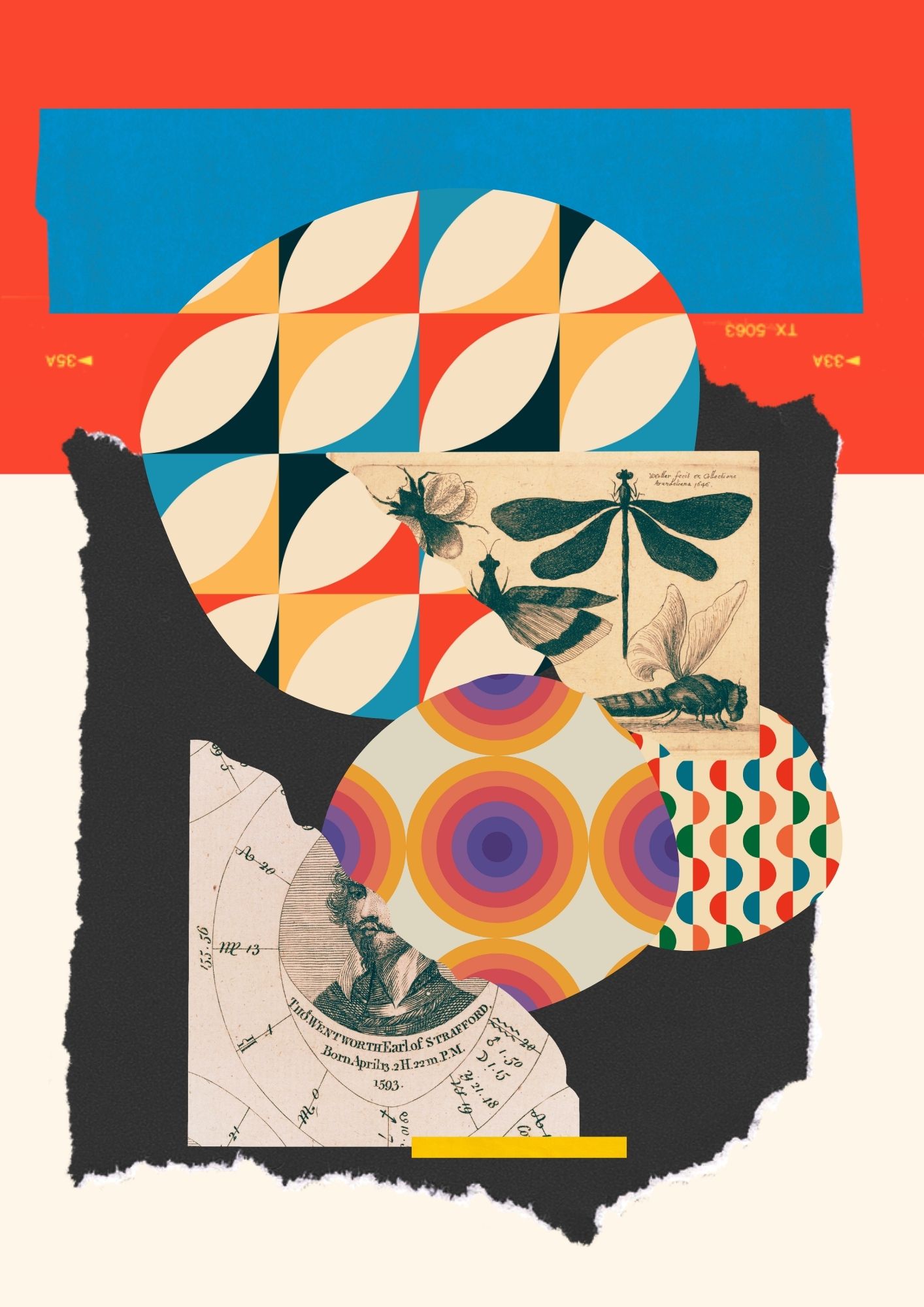 Collage by Mr.Collagesky