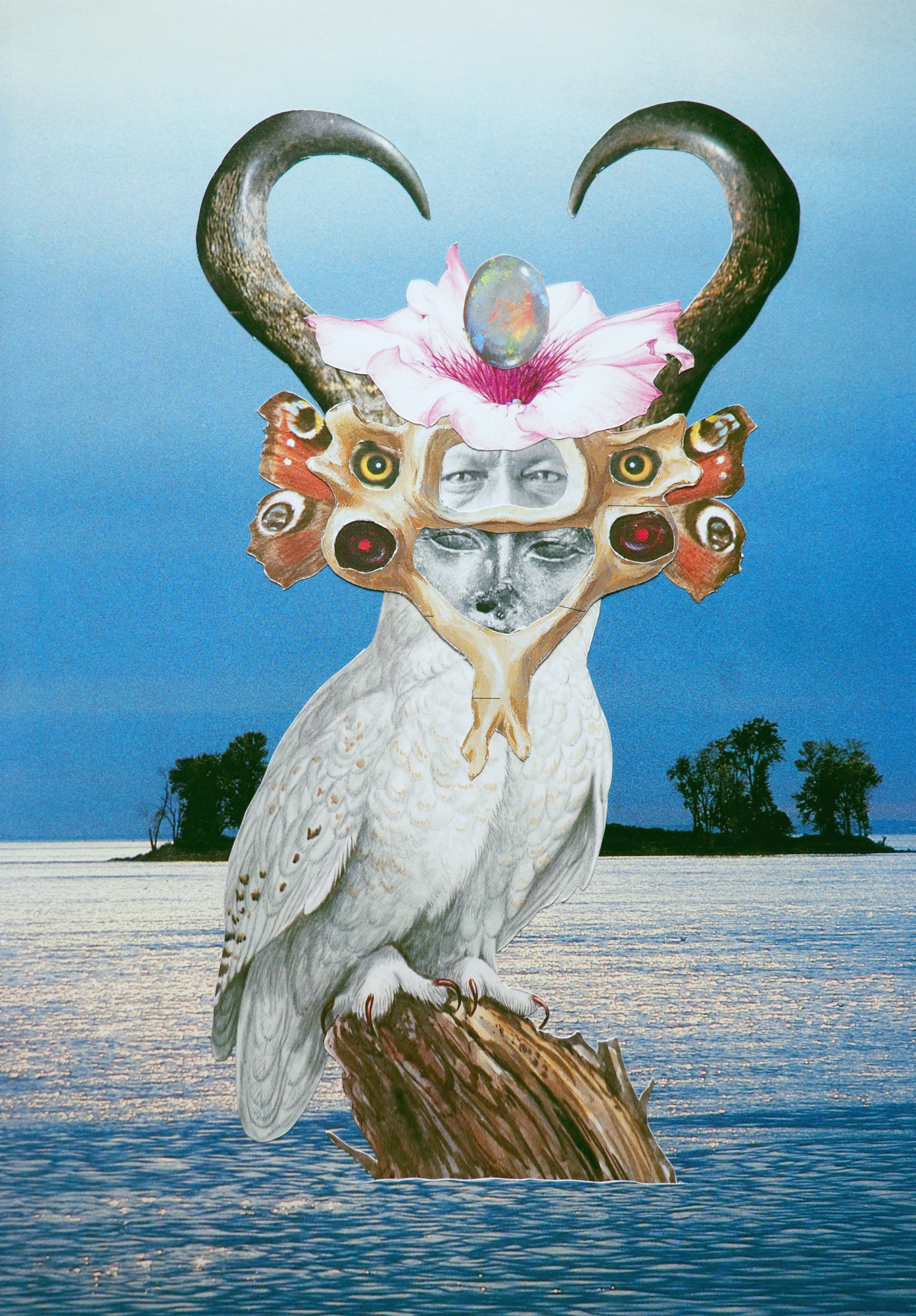 Collage by Lukas Niggemann