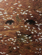 Collage by Elizabeth Plettner
