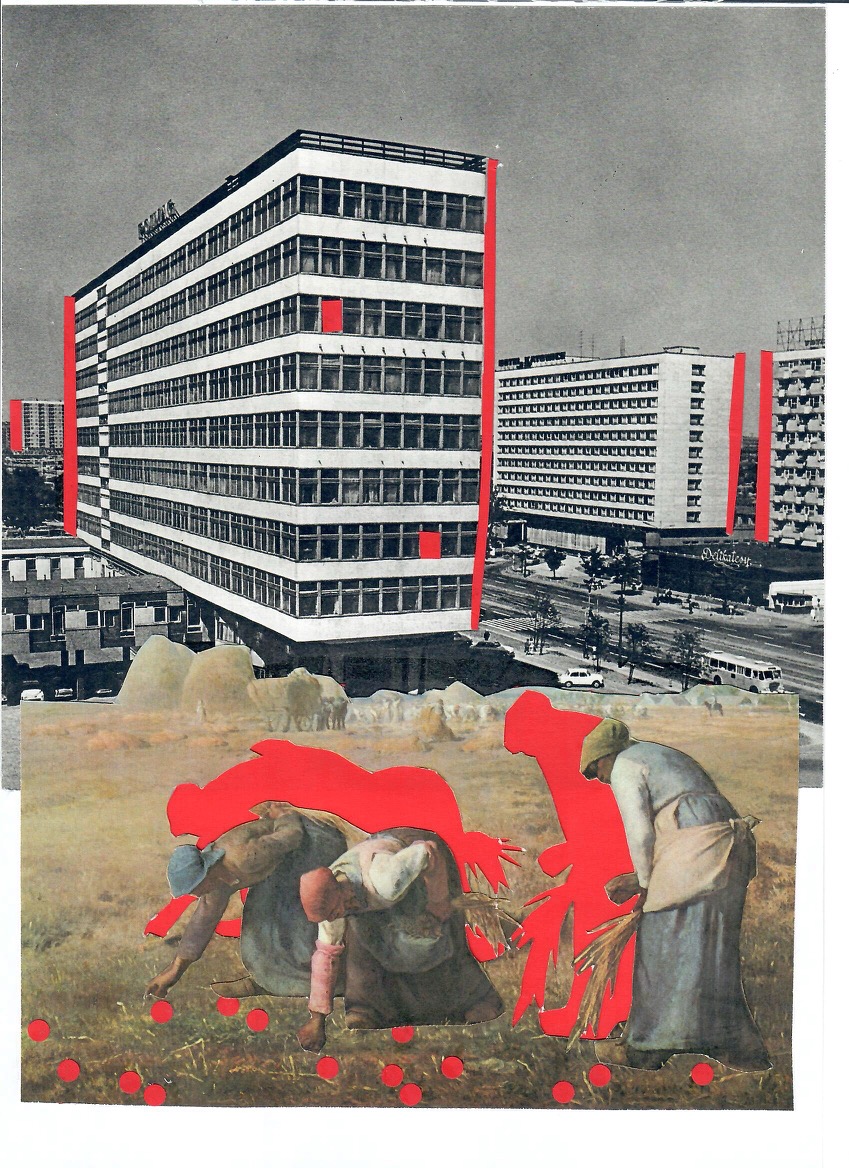 Collage by Dorota Gała
