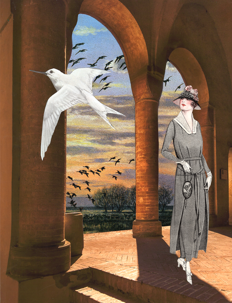 Collage by Tracy Miller