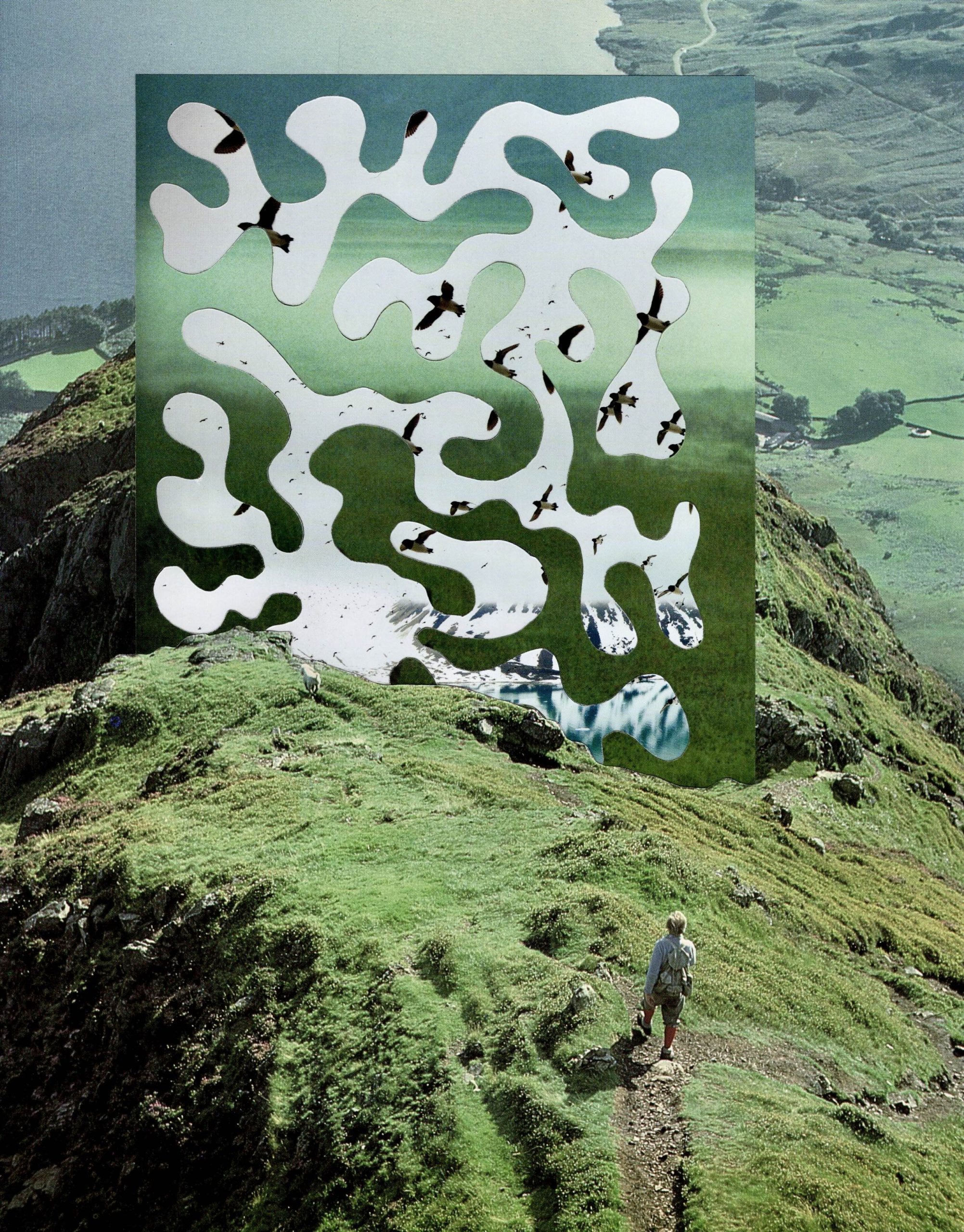 Collage by Charlie Smith
